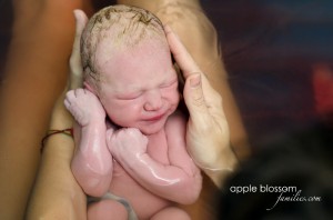 Read more about the article Baby Boy Born in the Caul in the Water | Vancouver Birth Photographer and Doula