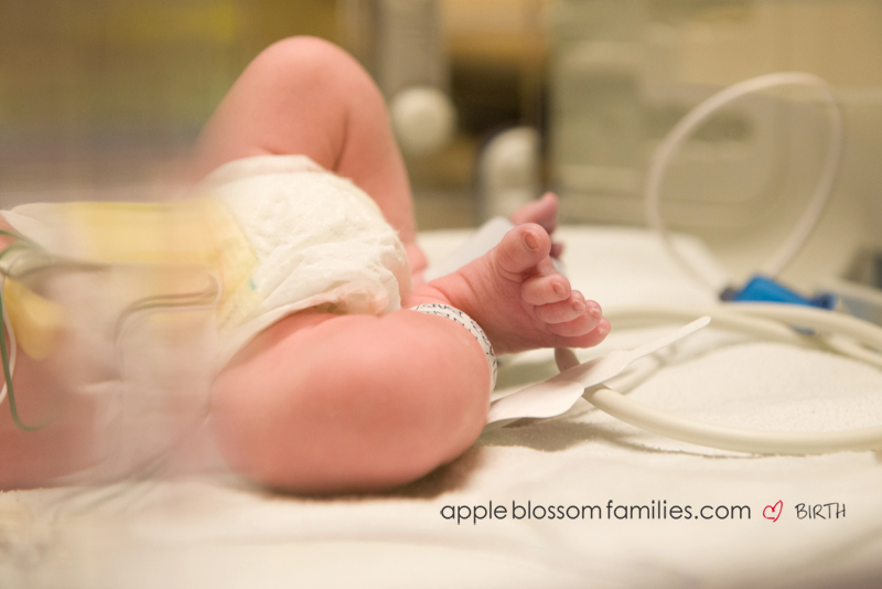 Apple Blossom Families- Vancouver Birth Photographer and Vancouver Doula Morag Hastings