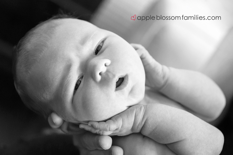 Apple Blossom Families- Vancouver Birth Photographer and Vancouver Doula Morag Hastings