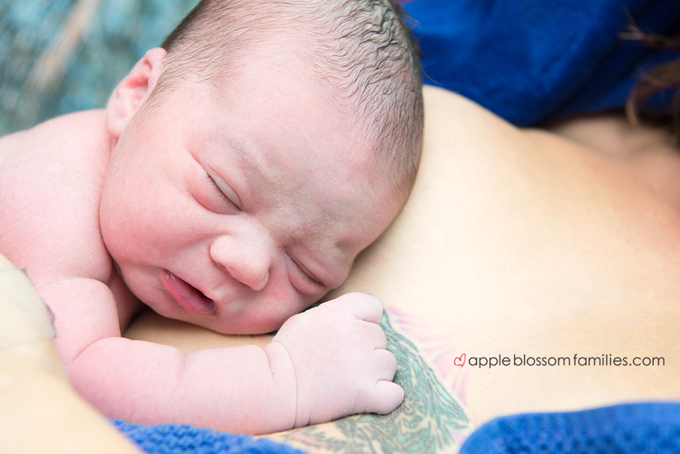 Vancouver Doula Apple Blossom Families- Vancouver Birth Photographer Morag Hastings 