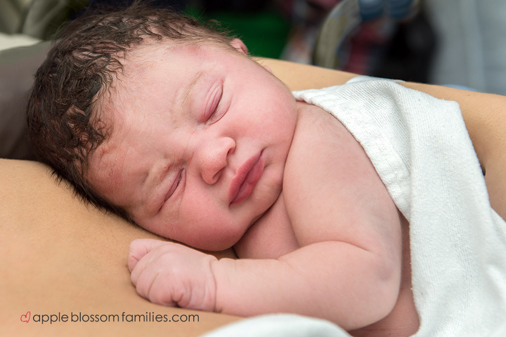 You are currently viewing October 23, 2014 | Vancouver Birth Photographer