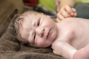Read more about the article Now They Are Four | Vancouver Birth Photographer