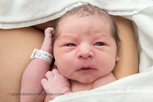 Read more about the article Baby Boy | Vancouver Birth Photography