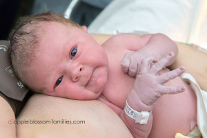 Read more about the article 9 lbs 2 oz Baby Boy | Vancouver Birth Photographer