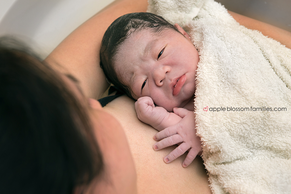You are currently viewing Little Brother | Vancouver Birth Photographer