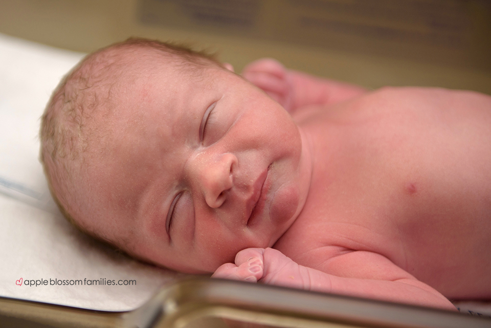 Read more about the article Born 4 Weeks Early | Vancouver Birth Photographer