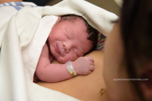 Read more about the article Protected: Baby Boy | Vancouver Birth Photographer and Doula